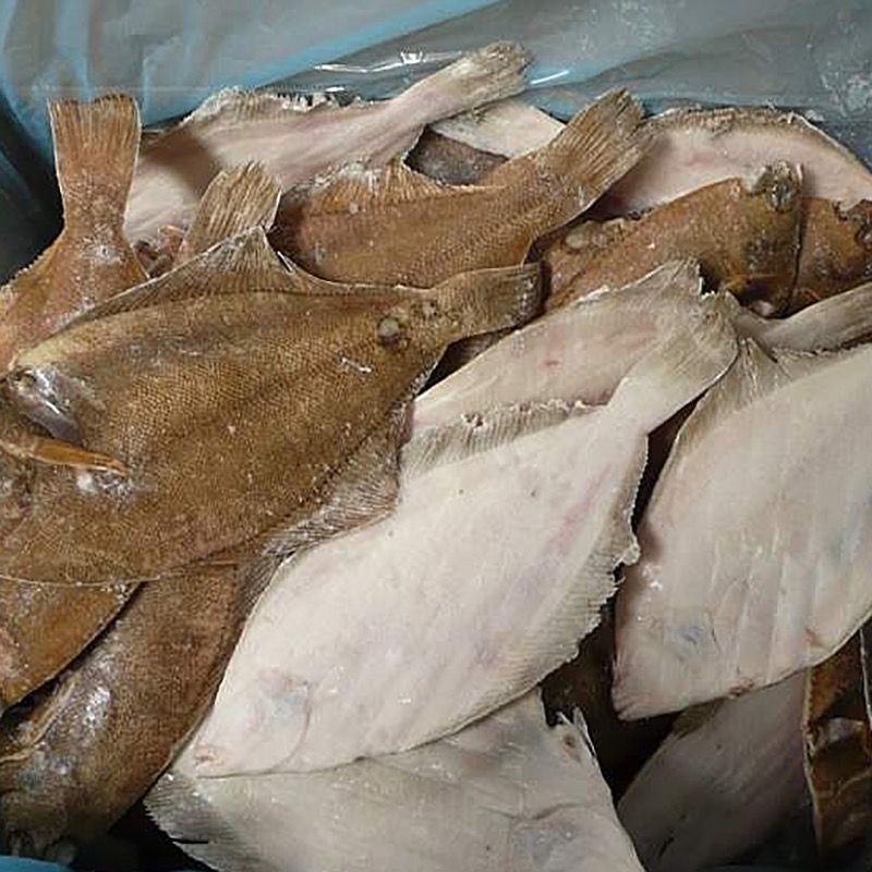 LIMANDA/LLENGUADINA SENCERA.EVISC.20% 100-200g.10kg.