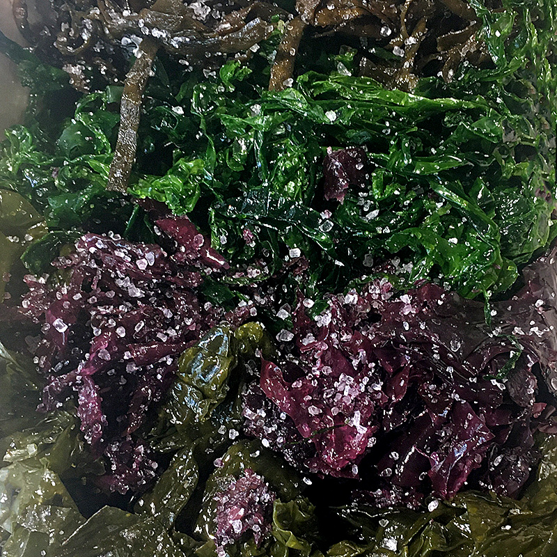 ALGUES DE MAR 4 COLORS (CAIXA 1 kg)