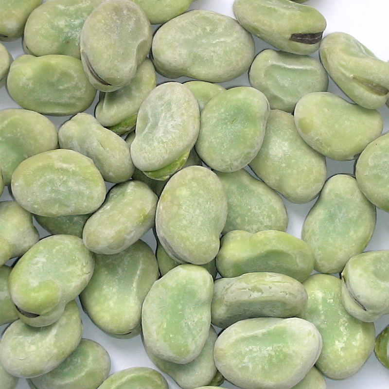 FAVES BABY 4/2.5Kg.