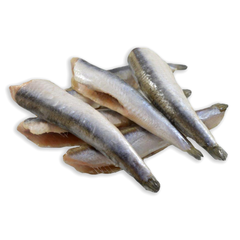 BOQUERÓN -G- IQF 20% LIMPIO H/G 4/1Kg.