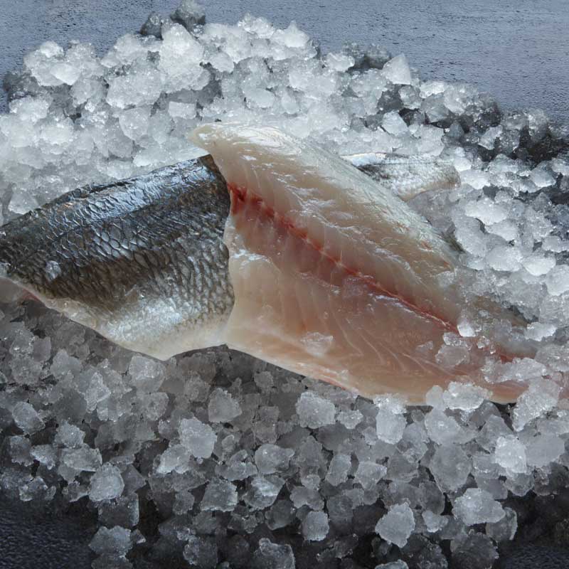 DORADA FILETE (100-140g) 20% 5Kg.