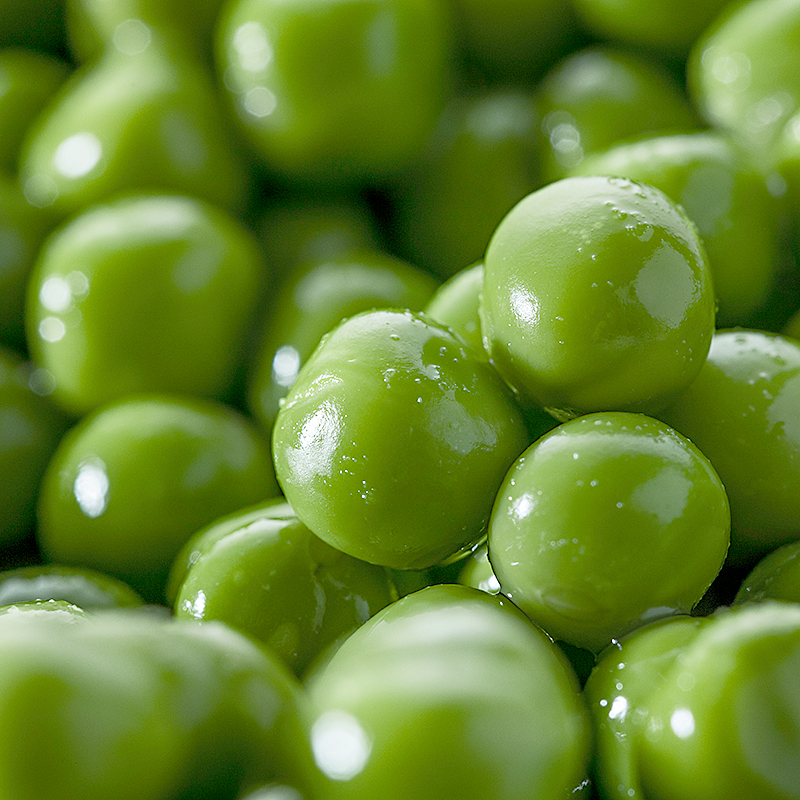 GUISANTE FINO MINUTE 6/1Kg