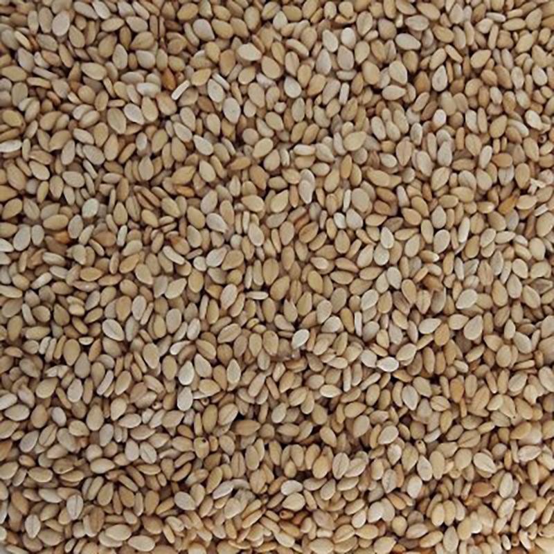 SÉSAMO AJONJOLÍ BOTE 6/300g