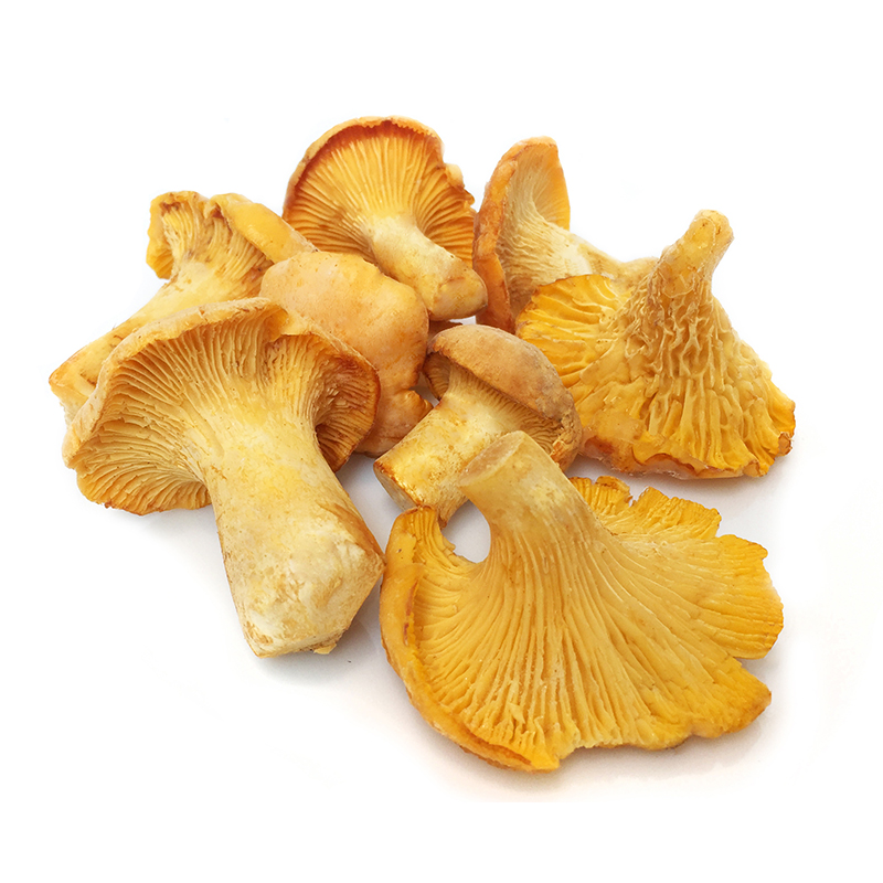 BOLET ROSSINYOL 5/1Kg