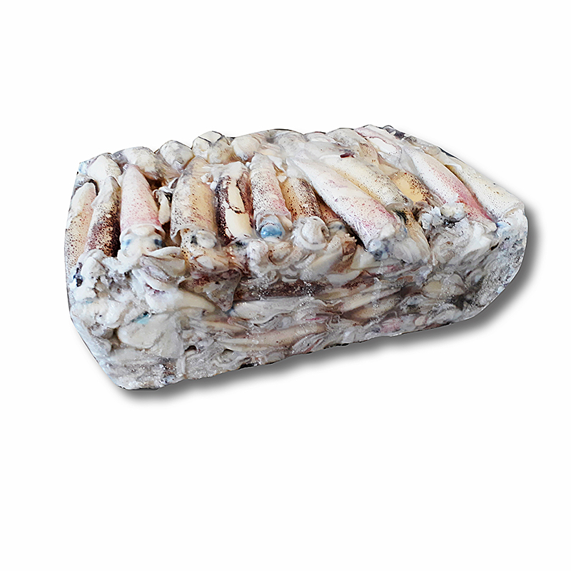 CALAMAR PATAGÓNICO 4LL(12-16cm)5kg.apx