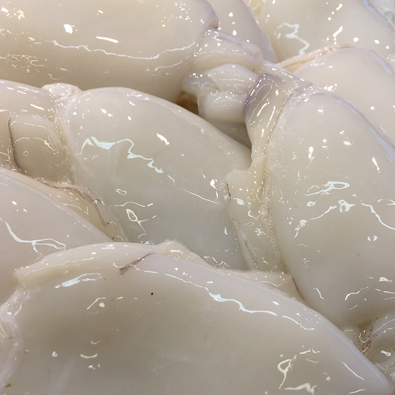 SEPIA INDIA-M-(5-7)25% 6kg.