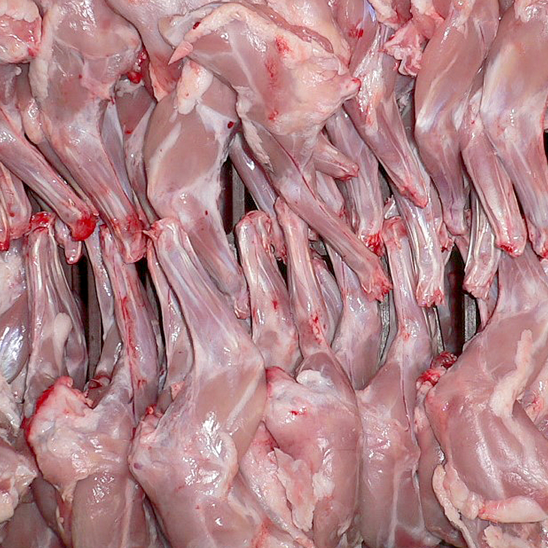 CONILL ESPATLLA (100g.aprox) INTF. 5kg 
