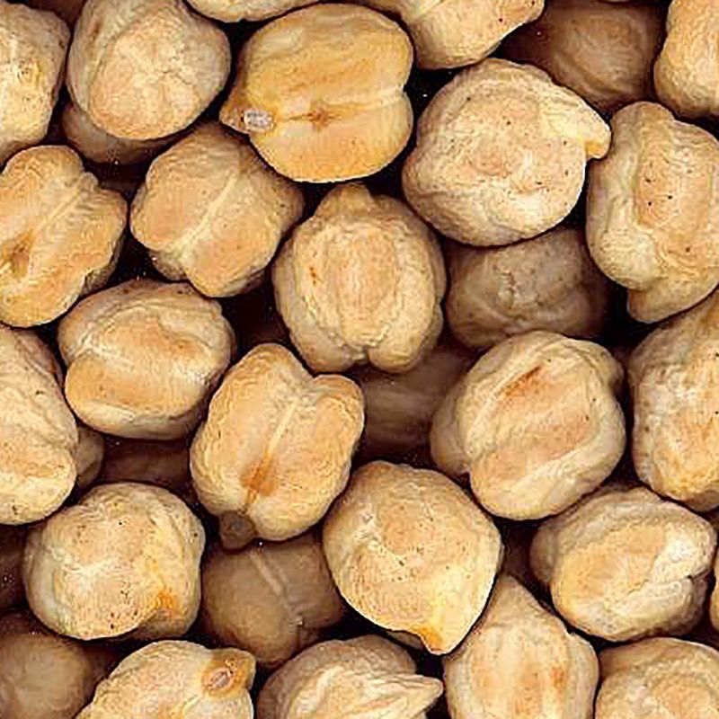 CIGRONS CASTELLANS EXTRA BOSSA 4/5 Kg.