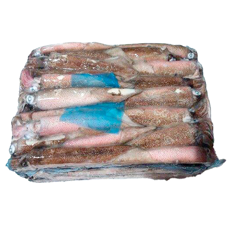 CALAMAR PATAGÒNIC N4L(12-16cm)6.8kg apx
