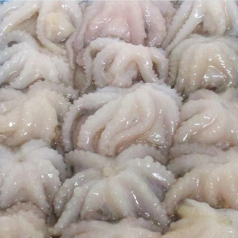 PULPITO INDIO 20-40 20% 6/1Kg