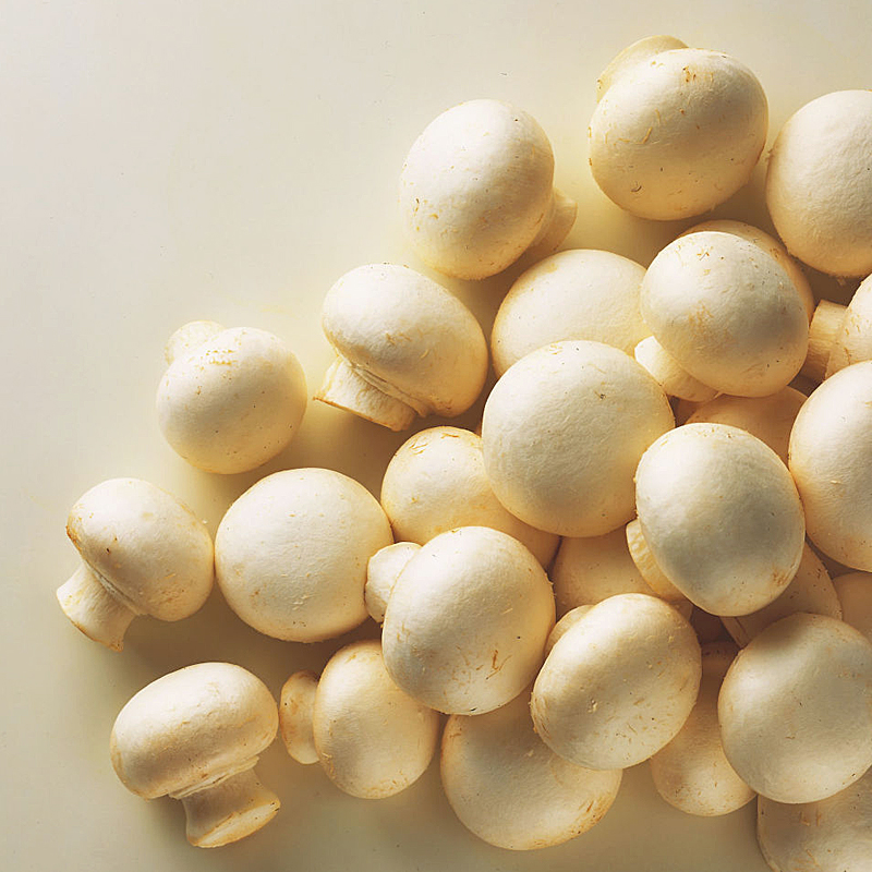 CHAMPIÑÓN ENTERO 10/1Kg