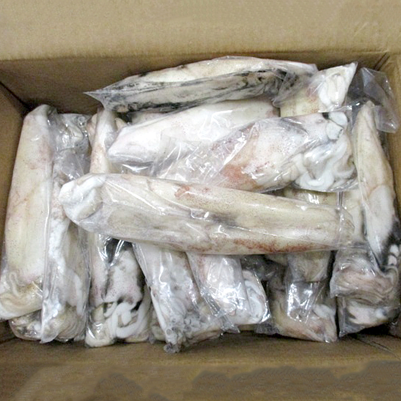 CALAMAR MARRUECOS ENV.-2P-(16-21cm) 0% 6Kg 