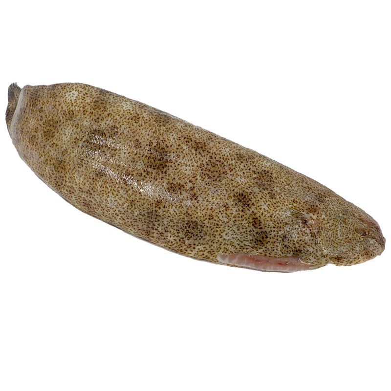 LLENGUADO TIGRE EVISCERAT EMBOLICAT(200-300)2/5kg