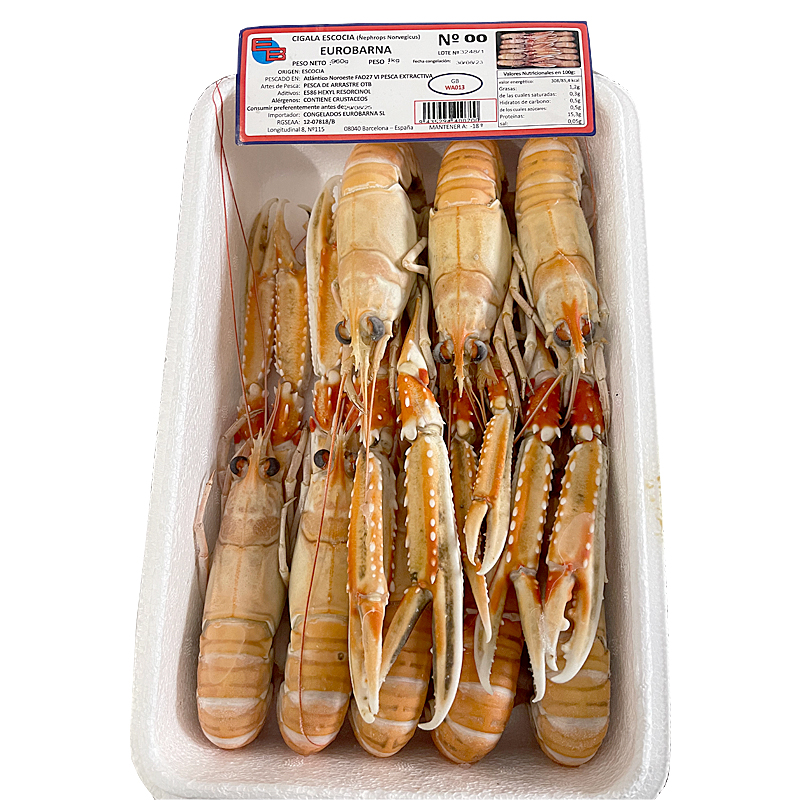 ESCAMARLÀ ESCOCIA CONG.VIU N00 (6-8) 0% PN 4/1Kg