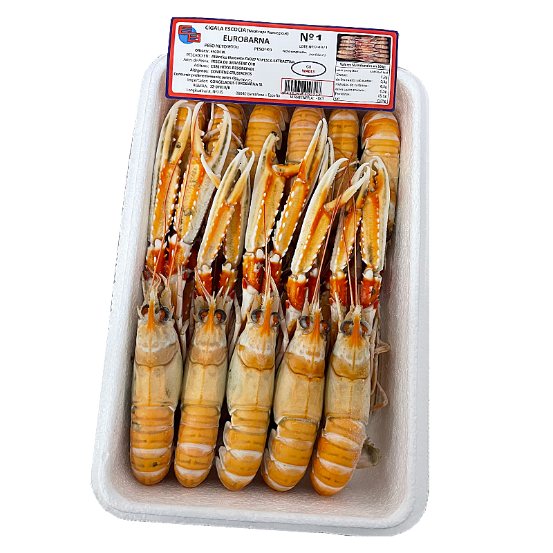 CIGALA ESCOCIA CONG.VIVA N1(11-15) 0% PN 4/1Kg