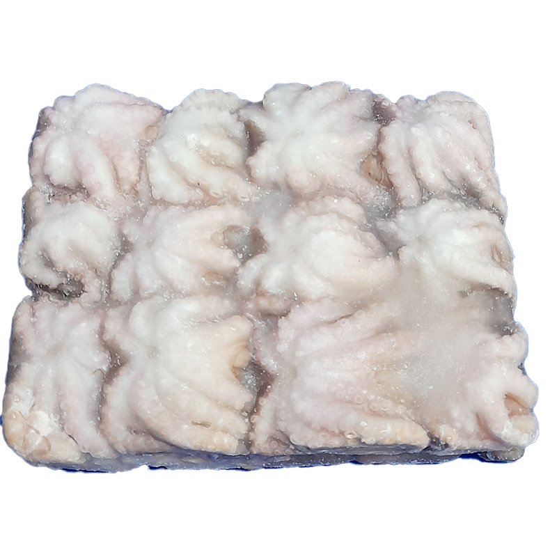 PULPITO VIET.1P(20-40) 25% 5/1kg.