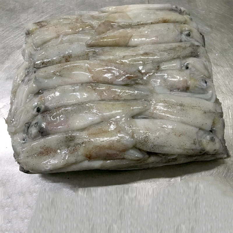 CALAMAR PATAG.SENCER (12-15cm) 0% C.5 kg