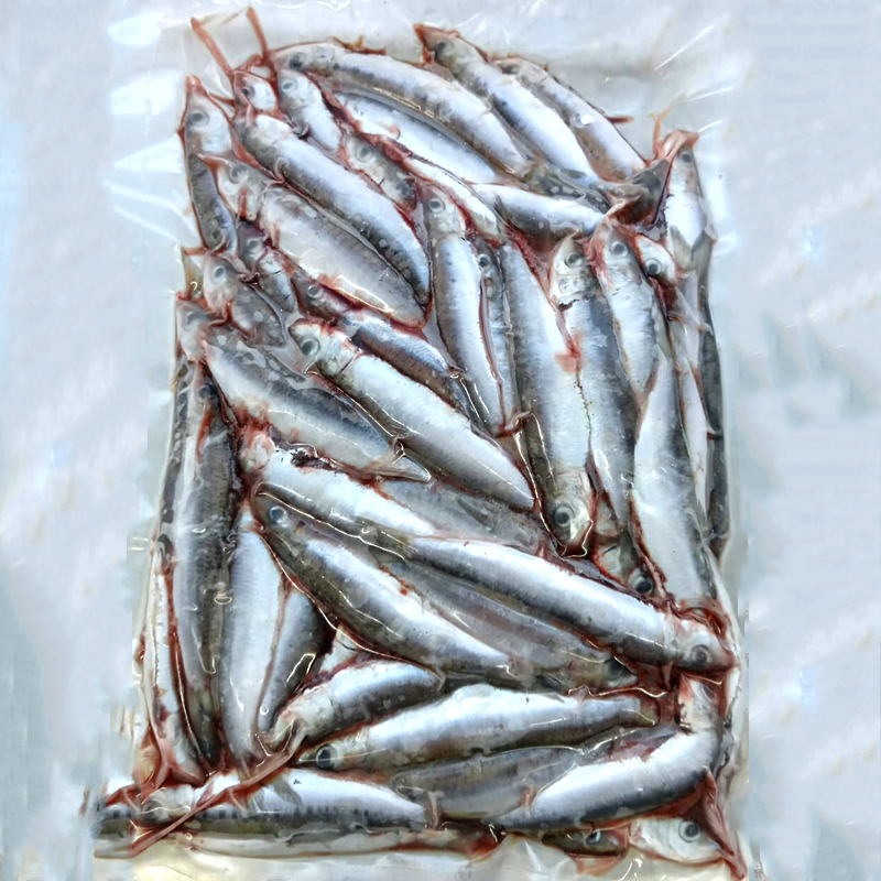 SARDINA PALAMÓS  EVISCERADA al VACIO C.5u/1Kg