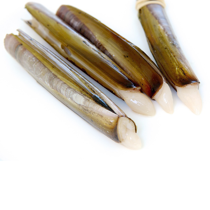 NAVAJA HOLANDESA (10-14cm)IQF 0% C.5Kg