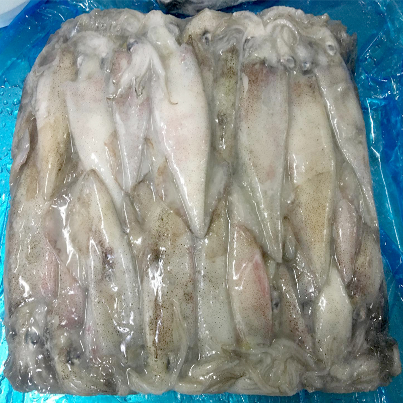 CALAMAR PATAGONICO ENTERO (10-12cm) 0% C.5kg