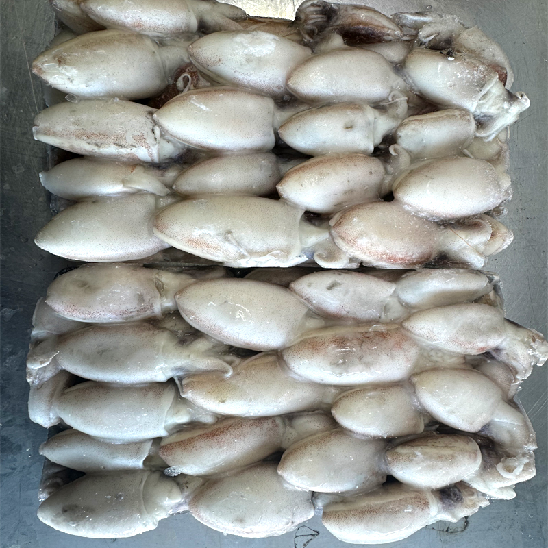 SÍPIA ALMENDRITA(sepioles) BLOC 500gr 0% C.10Kg
