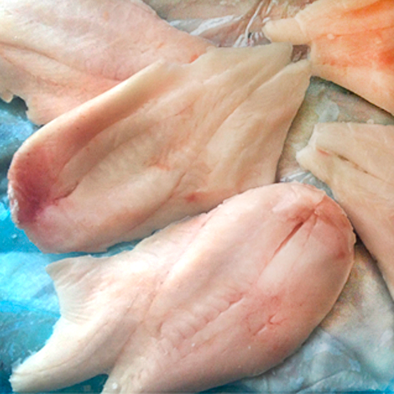 GALL SANT PERE FILET S/PELL INTF 0% (60-100g) C.5Kg