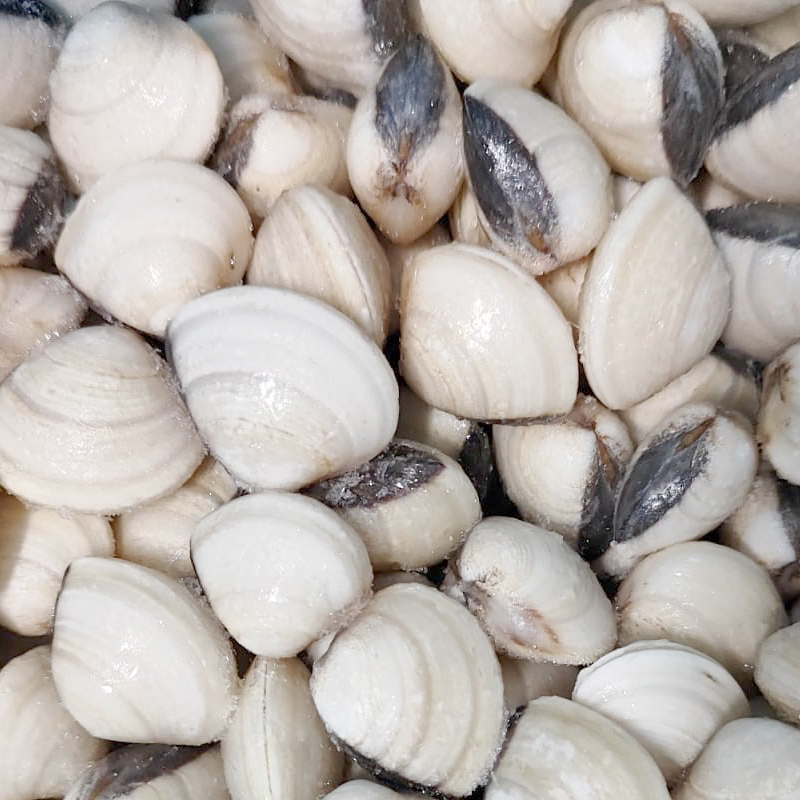 CLOÏSSA PACÍFIC BLANCA 60-80 10/1Kg