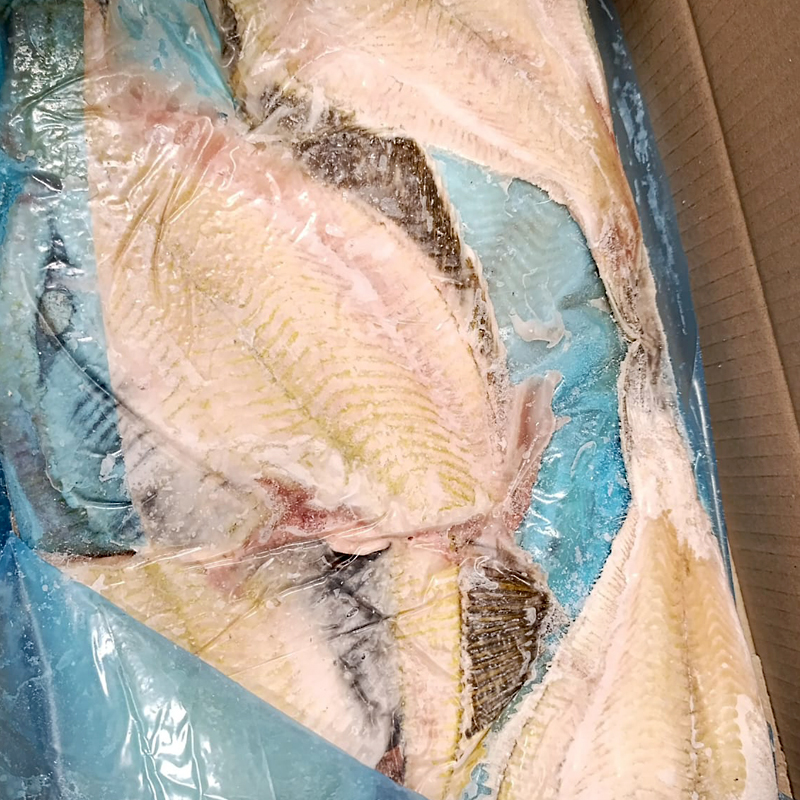 LIMANDA  JAP. SIN/PIEL HG (200/400gr ) INTF 0% C.6Kg