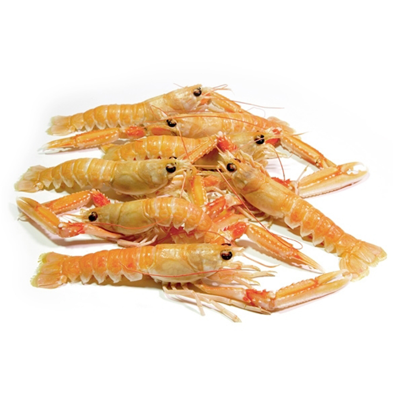 ESCAMARLÀ PAELLA ESCÒCIA A BORD 40-60 0% 3Kg