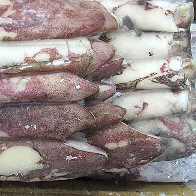 CALAMAR MARRUECOS 2P (17-20cm)0% 4/5Kg