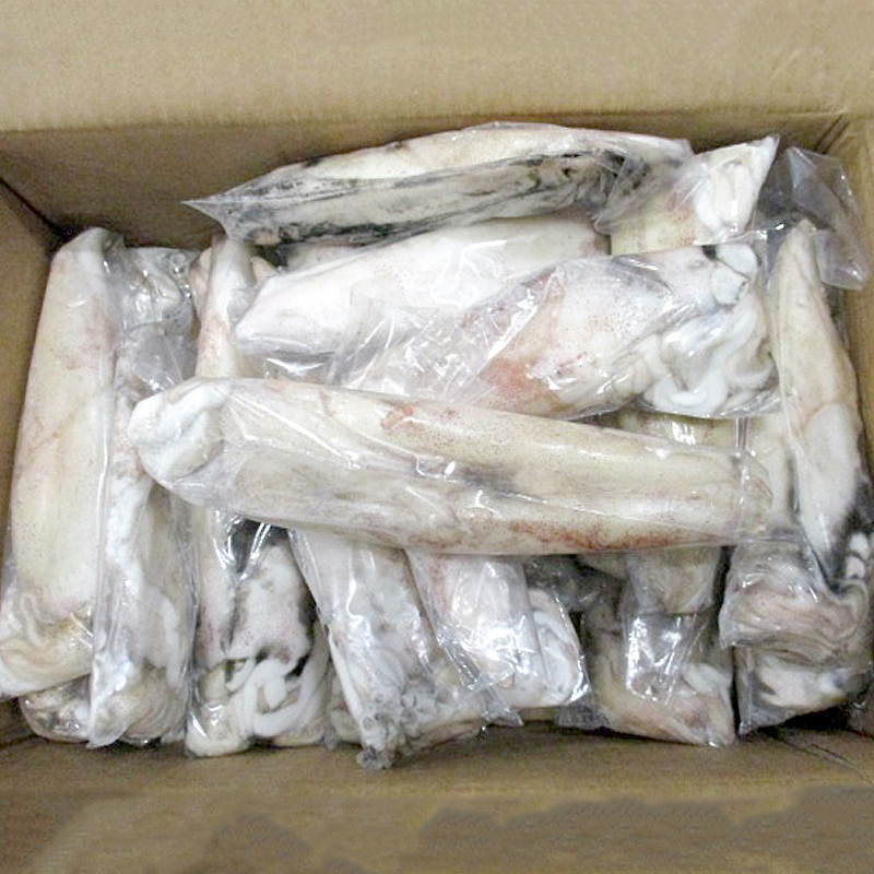 CALAMAR MARRUECOS ENV.-3PX-(11-13cm)0% 6Kg