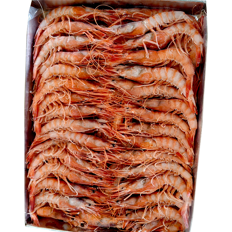 GAMBA ALLISTAT TUNISIA N6 80/100 12/1kg