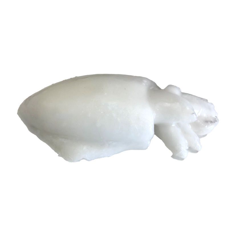 SÍPIA NETA MARR(600-800g) 30% 7kg