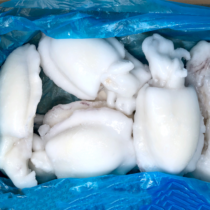 SEPIA LIMPIA -GGG- 25%(+900gr) IQF 9Kg