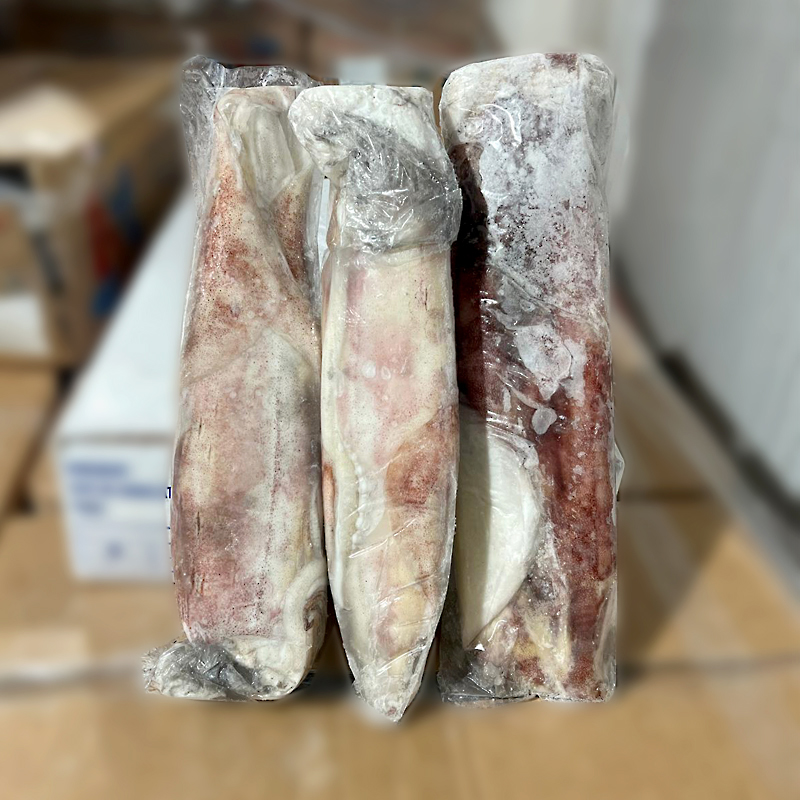 CALAMAR MARRUECOS ENV.-GG-(+41cm) 0%10Kg.