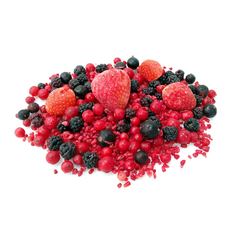 FRUTAS DEL BOSQUE 5/1Kg