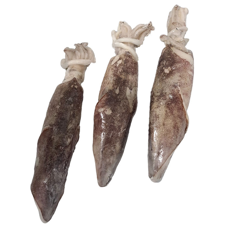 CALAMAR MARROC IQF. 8% 3P(11-16)GRANEL