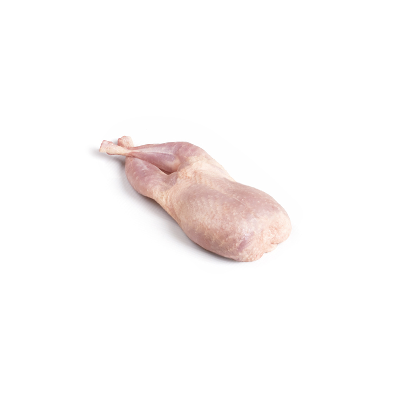 CODORNIZ SEMIDESHUESADA 20/(4X120g)
