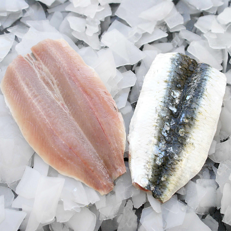SARDINA FILET PAPALLONA(25-40p./kg) IQF 10% 5Kg.