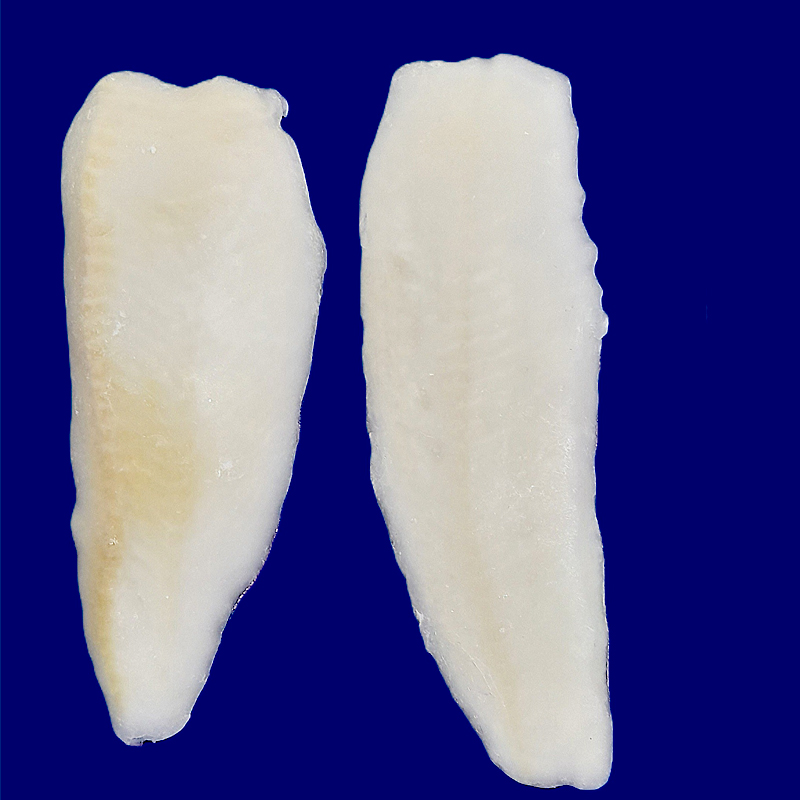 HALIBUT FILETE ALASKA (100-200) 25% 6 Kg