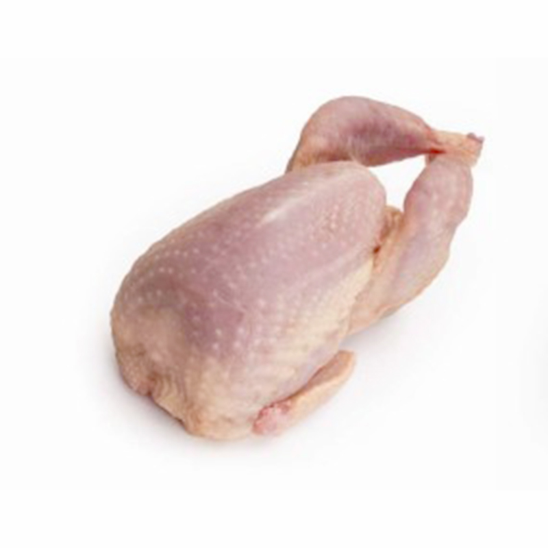 CODORNIZ ENTERA GIGANTE (130-150) 20/Pack 4 piezas