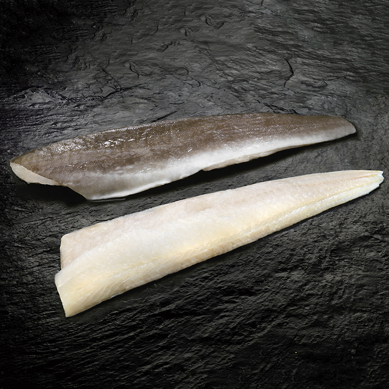 MARUCA - MOLVA FILETE 1000+  1a CONG.10% C.11Kg