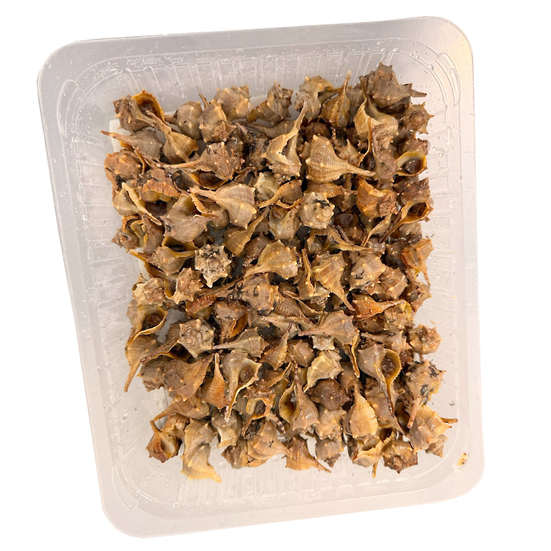 CARGOL DE MAR (CAÑAÍLLA) CUIT 4/1Kg