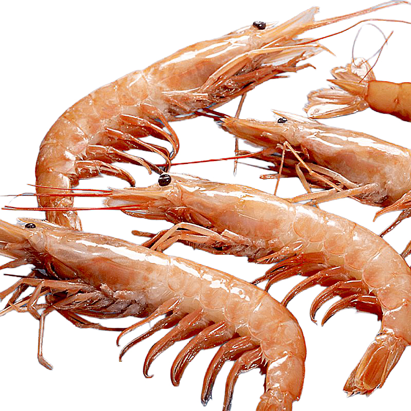 GAMBA ARGENTINA (planta)MSC N2(20-30) 6/2Kg  