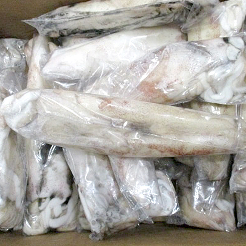 CALAMAR MARROC EMB.-P-(21-26cm) 0% 12Kg