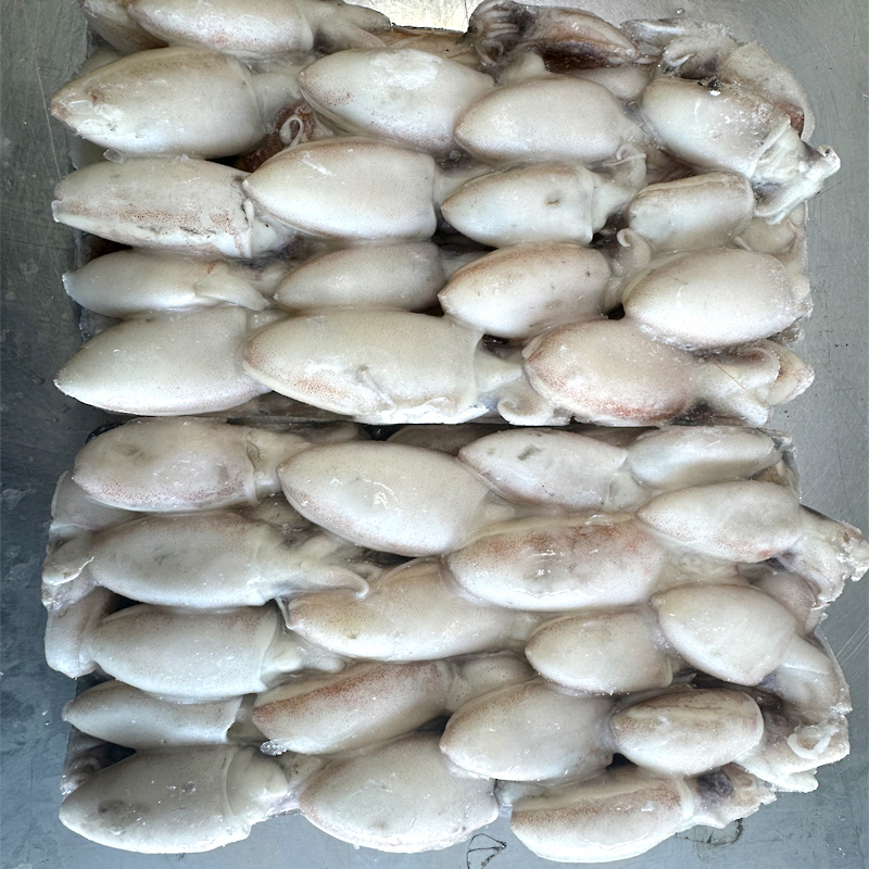 SEPIA ALMENDRITA(sepiola)BLOQUE 24/500GR 0% C.12Kg