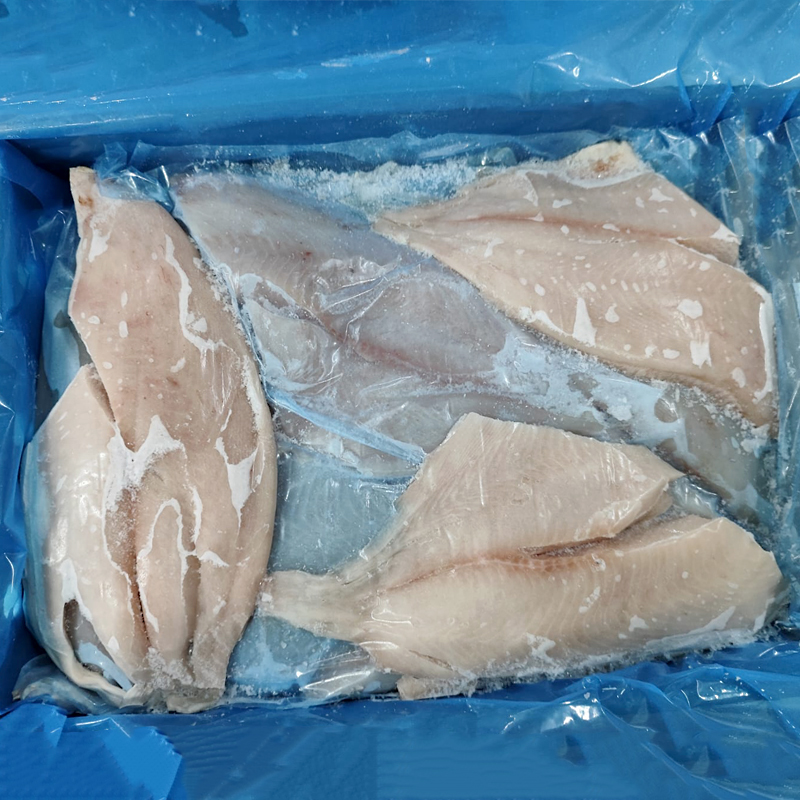 PALOMETA FILETE S/PIEL INTF. N2 (115-170g)2/5K apx