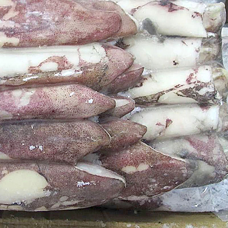 CALAMAR MAURITANIA EMBOLICAT -P- (21-26cm) 0% 4/4Kg