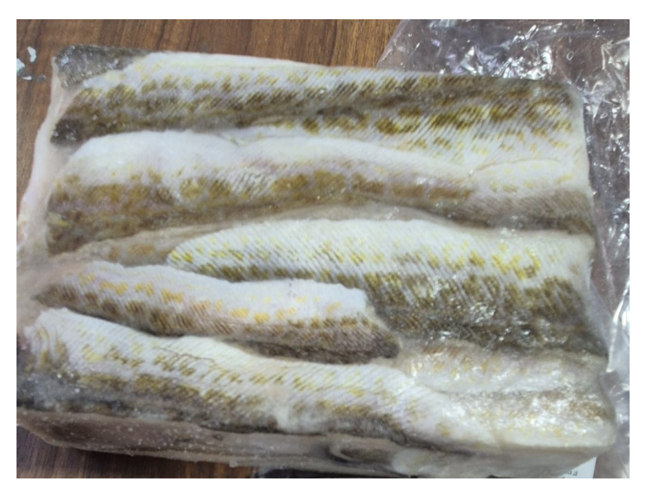 ARANYA FILET (RF) A/PELL C.3KG