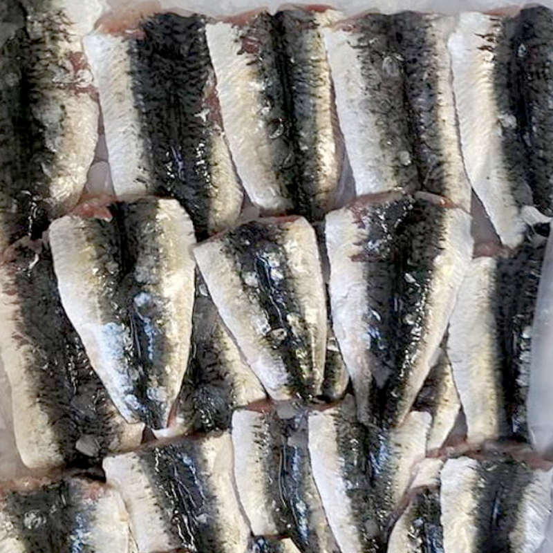 SARDINA FILETE C.3KG